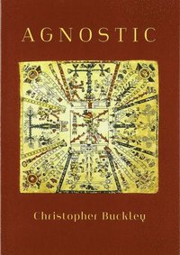 bokomslag Agnostic