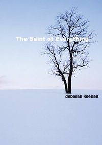 bokomslag Saint of Everything