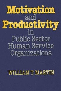 bokomslag Motivation and Productivity in Public Sector Human Service Organizations