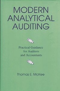 bokomslag Modern Analytical Auditing