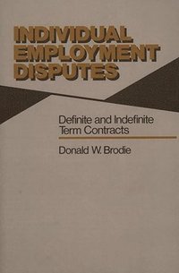 bokomslag Individual Employment Disputes
