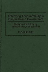 bokomslag Achieving Accountability in Business and Government