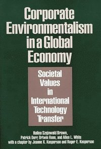 bokomslag Corporate Environmentalism in a Global Economy