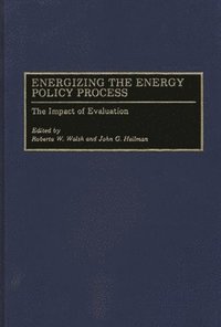 bokomslag Energizing the Energy Policy Process