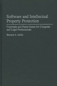 bokomslag Software and Intellectual Property Protection