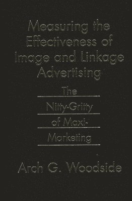 bokomslag Measuring the Effectiveness of Image and Linkage Advertising