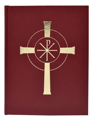 bokomslag New American Bible Version