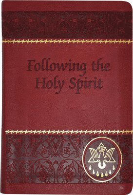 bokomslag Following the Holy Spirit