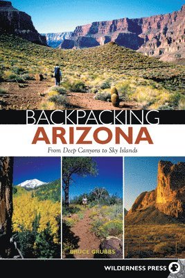 bokomslag Backpacking Arizona