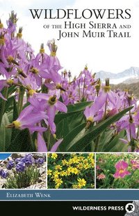 bokomslag Wildflowers of the High Sierra and John Muir Trail