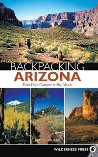 bokomslag Backpacking Arizona