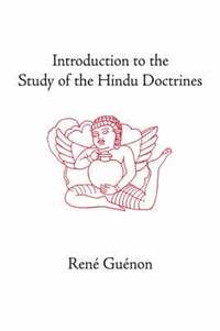 bokomslag Introduction to the Study of the Hindu Doctrines