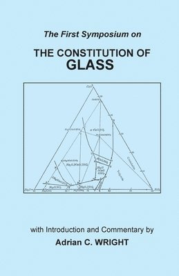 bokomslag Constitution of Glass