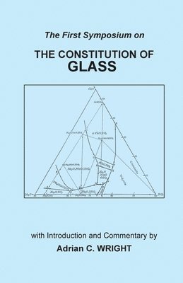 bokomslag The Constitution of Glass