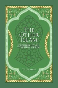bokomslag Other Islam