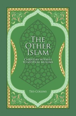 bokomslag Other Islam