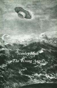bokomslag The Wrong Angel