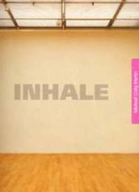 bokomslag Michael Craig-Martin Inhale/Exhale