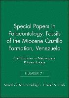 Special Papers in Palaeontology, Fossils of the Miocene Castillo Formation, Venezuela