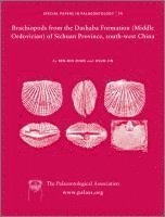 bokomslag Special Papers in Palaeontology, Brachiopods from the Dashaba Formation (Middle Ordovician) of Sichuan Province, south-west China