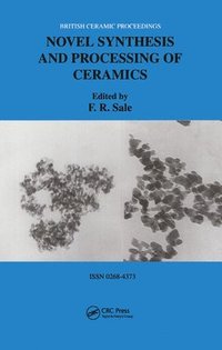 bokomslag Novel Synthesis and Processing of Ceramics