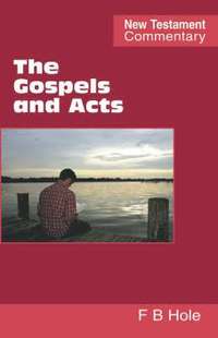 bokomslag The Gospels and Acts