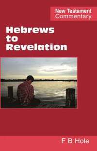 bokomslag Hebrews to Revelation