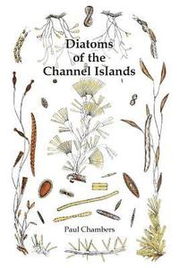 bokomslag Diatoms of the Channel Islands