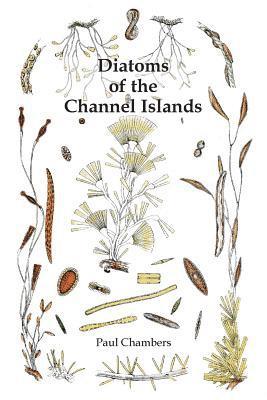 Paul Chambers - Diatoms of the Channel Islands, Häftad