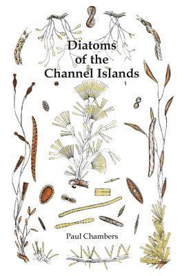 Diatoms of the Channel Islands 1
