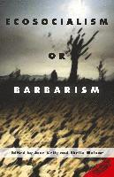 bokomslag Ecosocialism or Barbarism - Expanded Second Edition