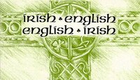 bokomslag Irish-English, English-Irish Dictionary
