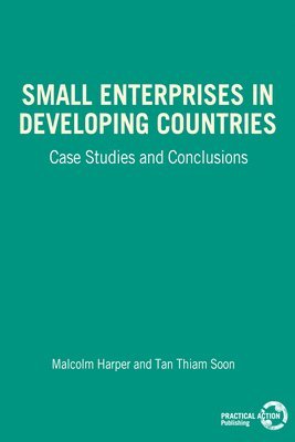 bokomslag Small Enterprises in Developing Countries