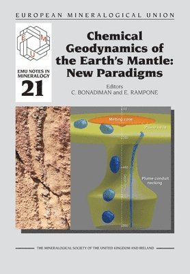 bokomslag Chemical Geodynamics of the Earths' Mantle