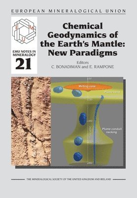 Chemical Geodynamics of the Earths' Mantle