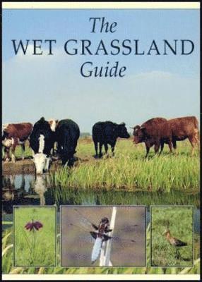 Wet Grassland Guide