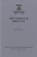 bokomslag Vikings in Brittany