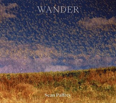 bokomslag Sean Palfrey: Wander