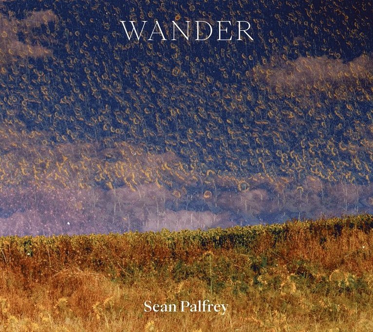 Sean Palfrey: Wander