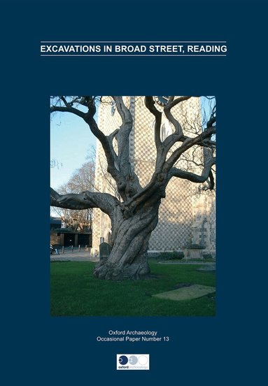 Nicola Scott, Alan Hardy - Excavations in Broad Street, Reading, Häftad