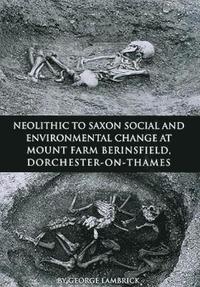 bokomslag Neolithic to Saxon Social and Environmental Change at Mount Farm, Berinsfield, Dorchester-on-Thames, Oxfordshire