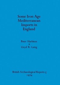 bokomslag Some Iron Age Mediterranean Imports in England