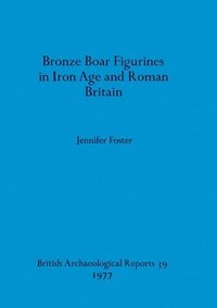 bokomslag Bronze Boar Figurines in Iron Age and Roman Britain