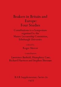 bokomslag Beakers in Britain and Europe