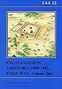bokomslag EAA 53: Excavations in Theford 1980-82, Fison Way