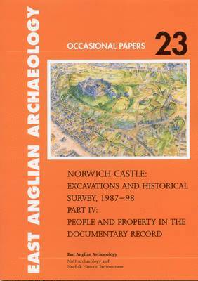 Norwich Castle 1