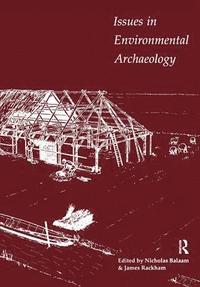 bokomslag Issues in Environmental Archaeology