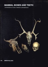 bokomslag Mammal Bones and Teeth
