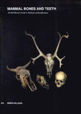 Mammal Bones and Teeth 1