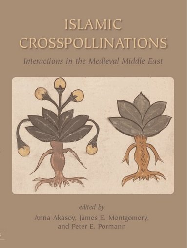 James Montgomery, Anna Ayşe Akasoy, Peter Pormann - Islamic Crosspollinations, Inbunden